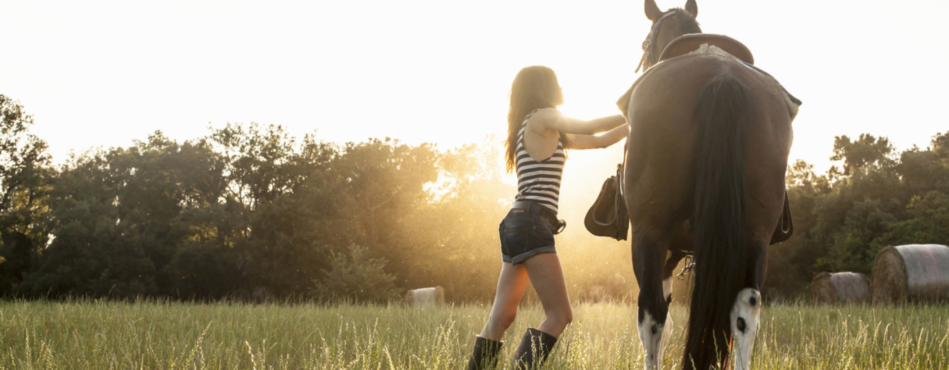 Lunar Eclipse (Simple System Horse Feeds) - Equine Nutrition Analysis